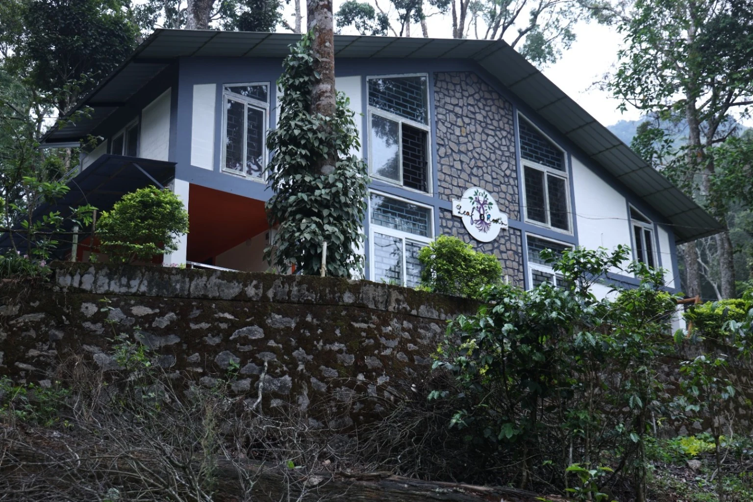 Side view of Leaf & Roots cottage with trees and a stone boundary wall