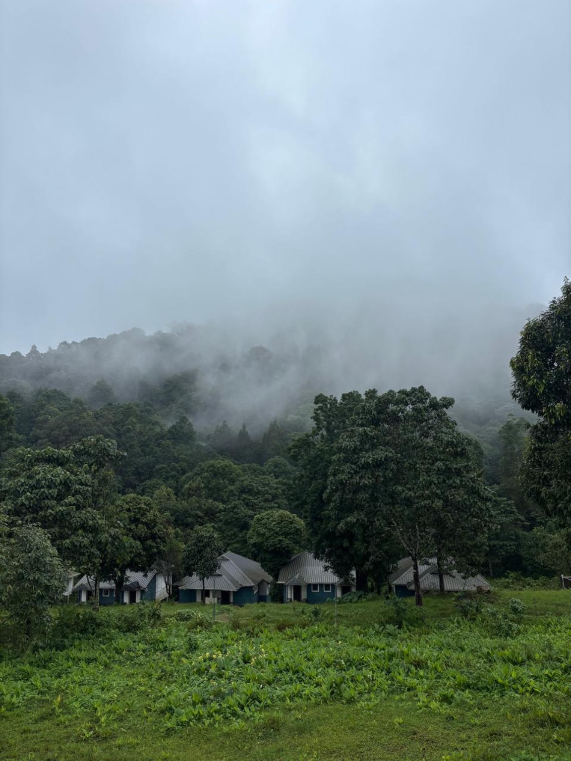 Forest cottages at the base of heavily forested hills covered in cloud