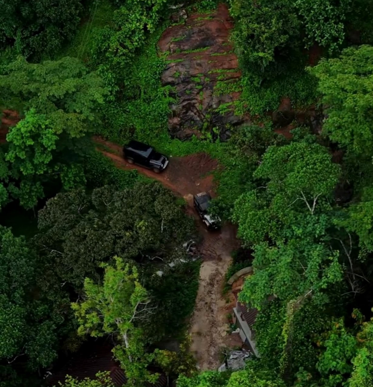 Aerial view of a jeep on a red-earth forest track surrounded by dense canopy