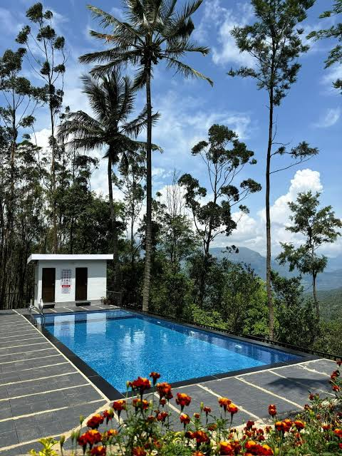 Illustrative property imagery: a hillside swimming pool framed by tall palms with layered blue mountains beyond
