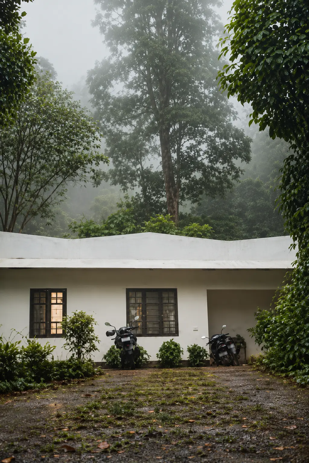 A low white house with lit windows on a misty morning, forest rising behind it