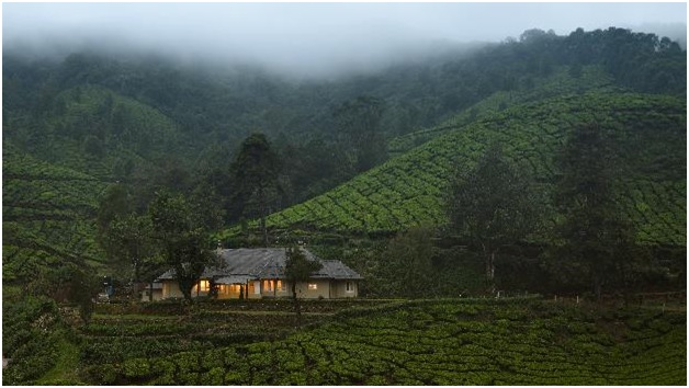 Illustrative destination imagery: a small estate bungalow surrounded by rolling tea slopes under low cloud