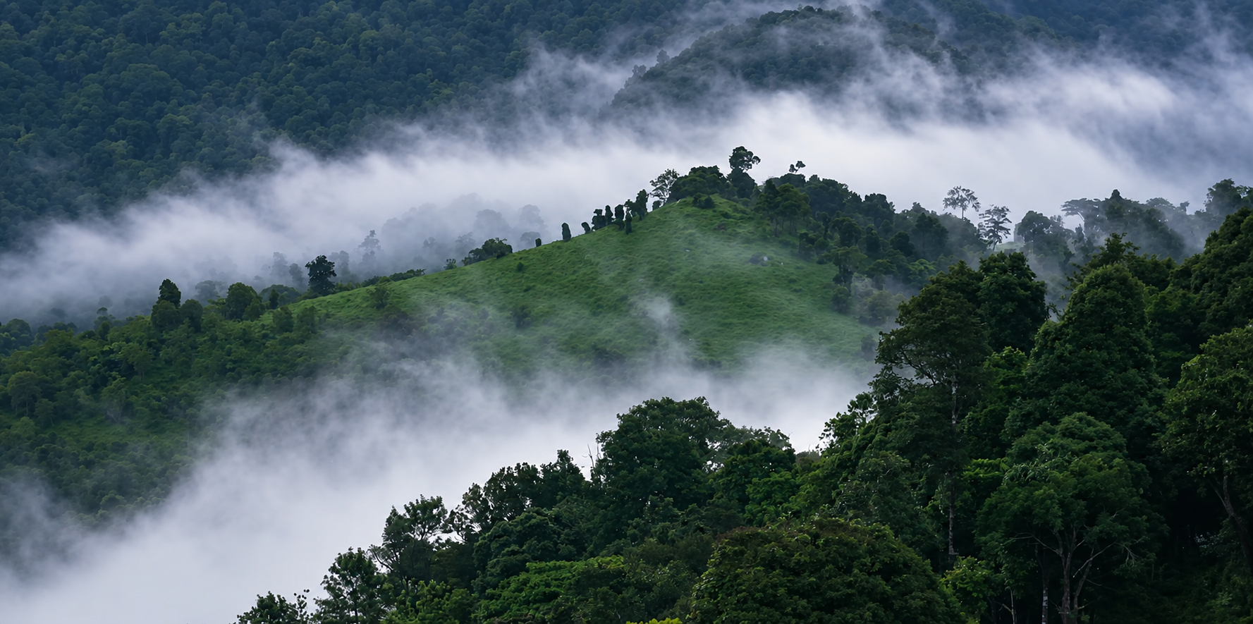 Mist drifting across forested hills at Kunjiyarpathy