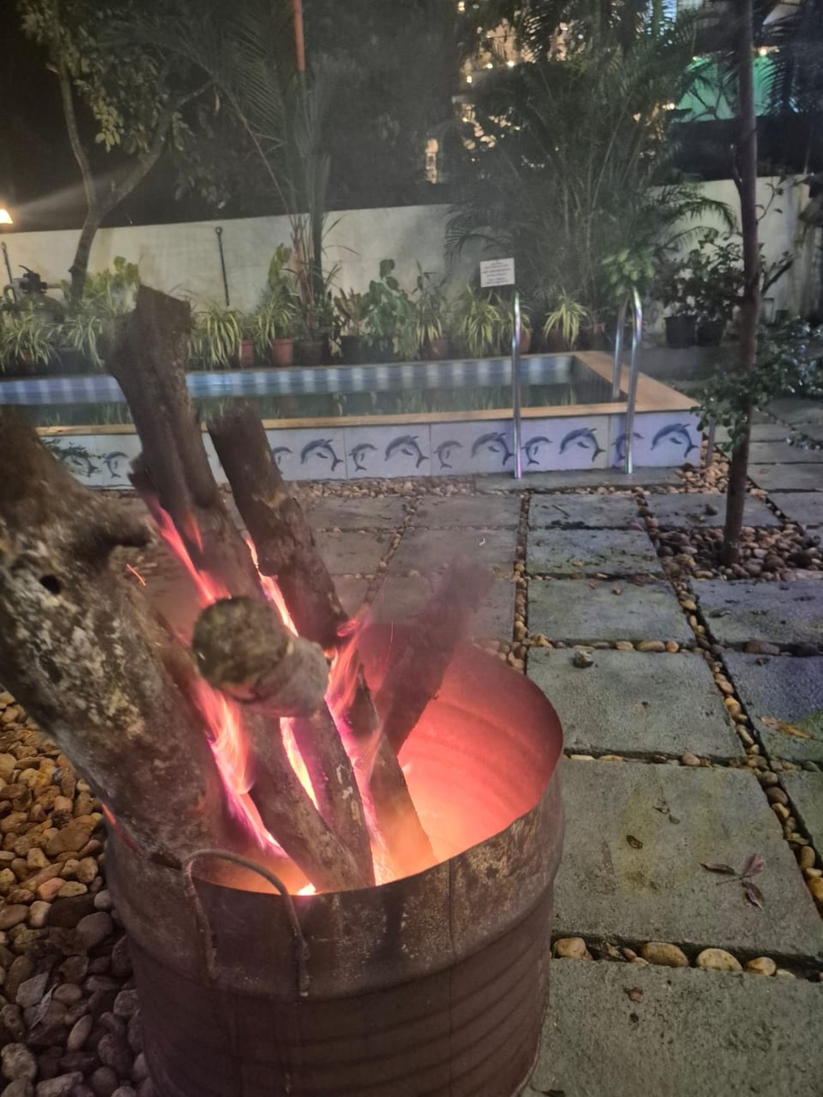 Wood fire burning in an outdoor fire pit beside a pool at night
