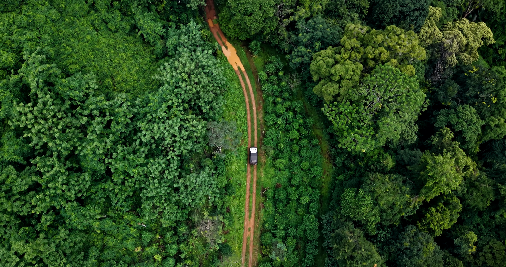 Aerial view of a single track and vehicle moving through dense Kunjiyarpathy forest