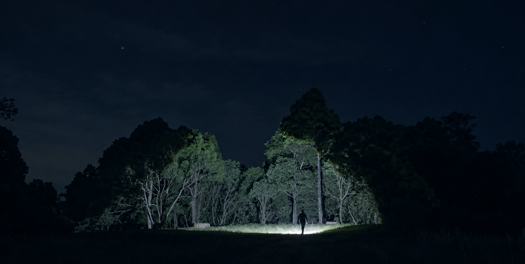 A guided after-dark forest atmosphere illuminated from a clearing