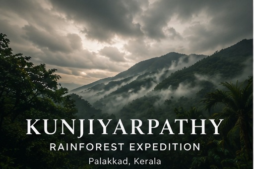 Misty rainforest mountains at Kunjiyarpathy, Palakkad