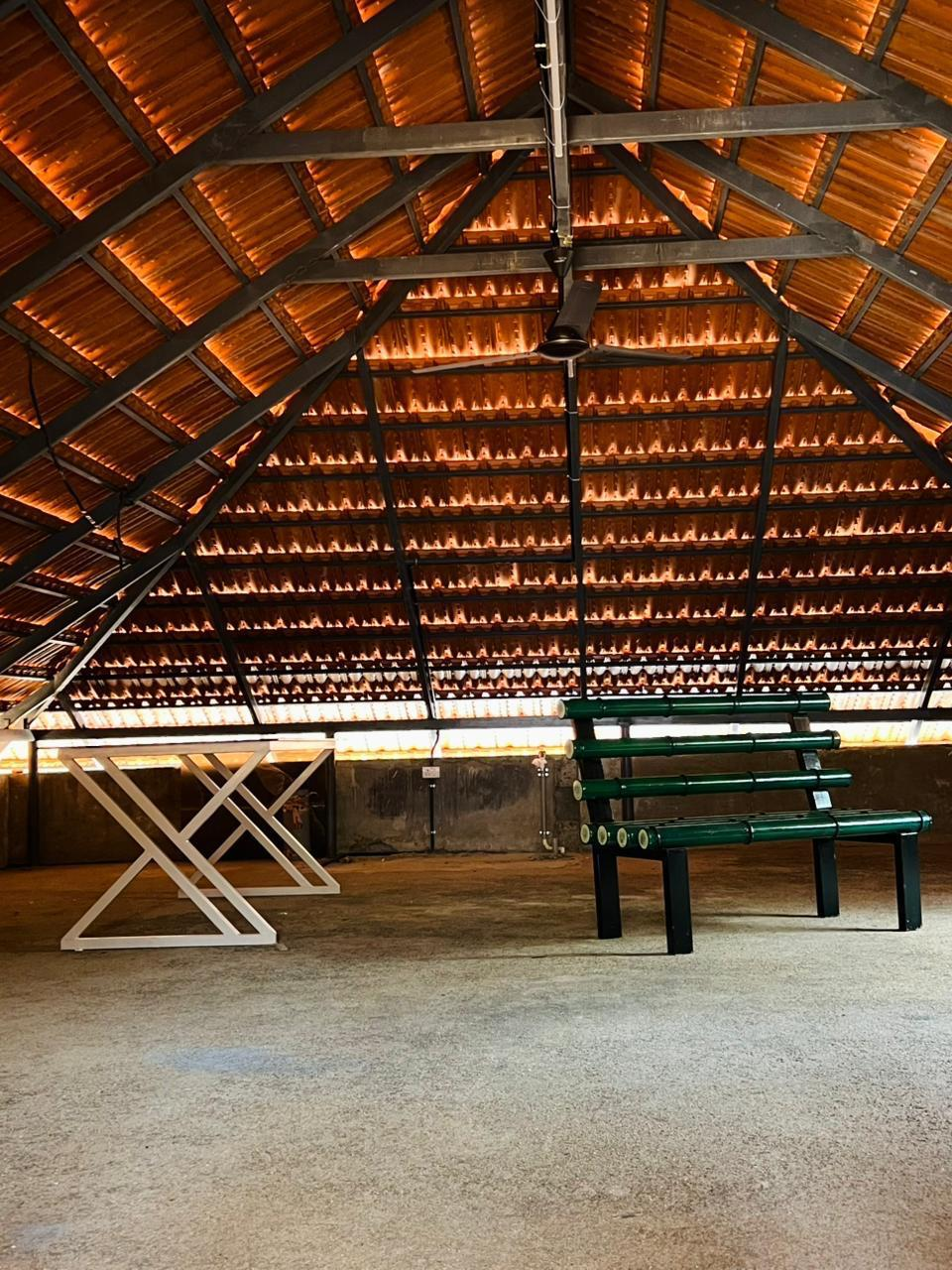 Upper-level gathering space with a sloped wooden ceiling