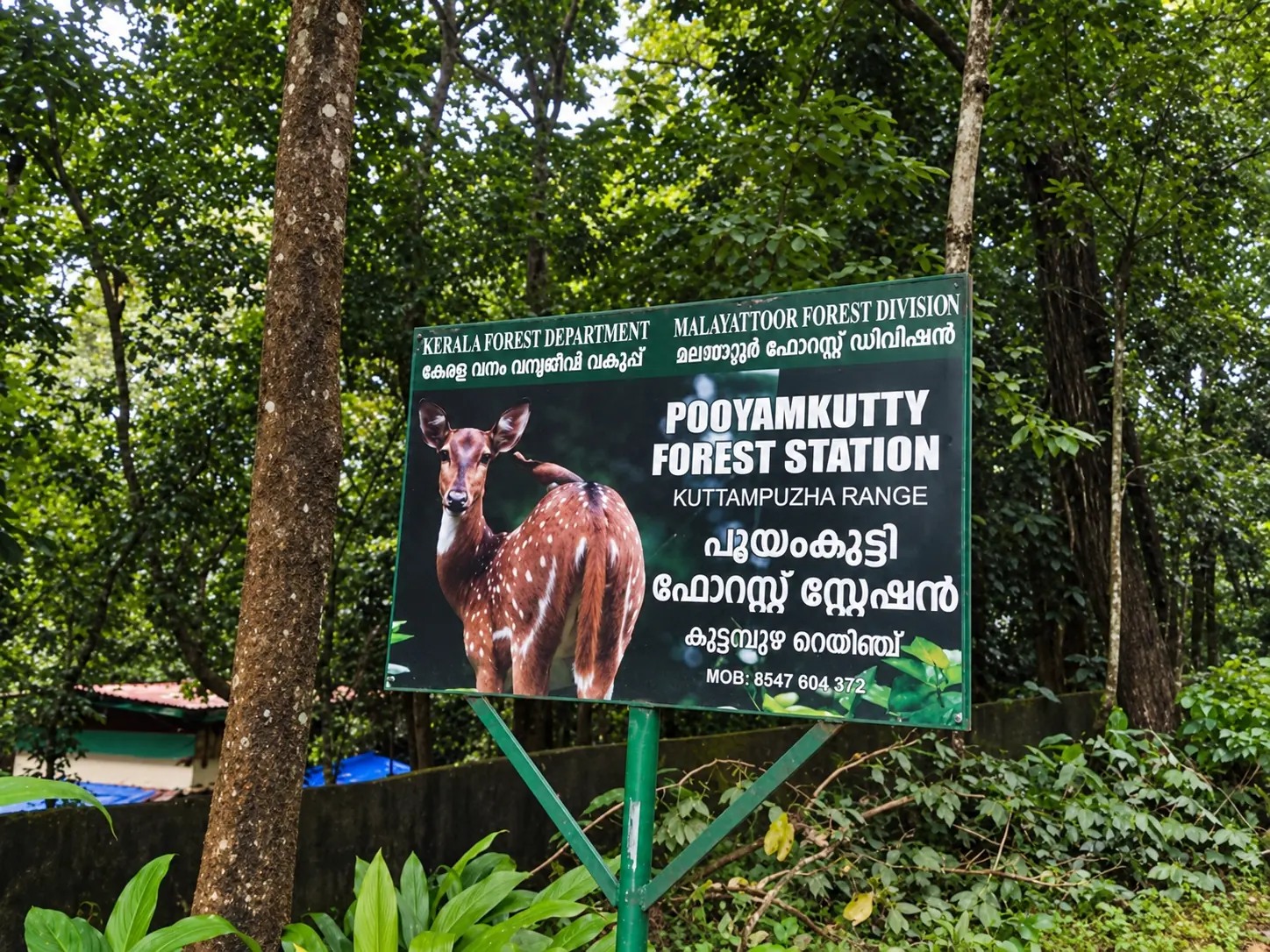 A Kerala Forest Department sign for Pooyamkutty Forest Station, Kuttampuzha Range, among trees