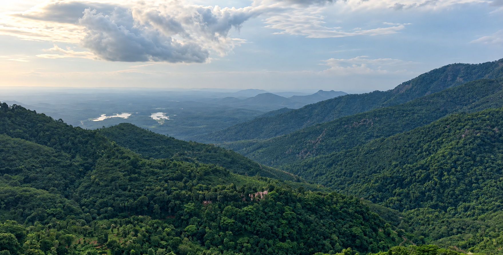 Expansive green mountain valley and distant reservoir at Kunjiyarpathy