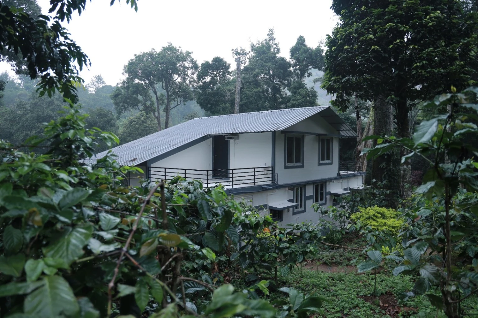 Leaf & Roots cottage surrounded by trees in Nelliyampathy