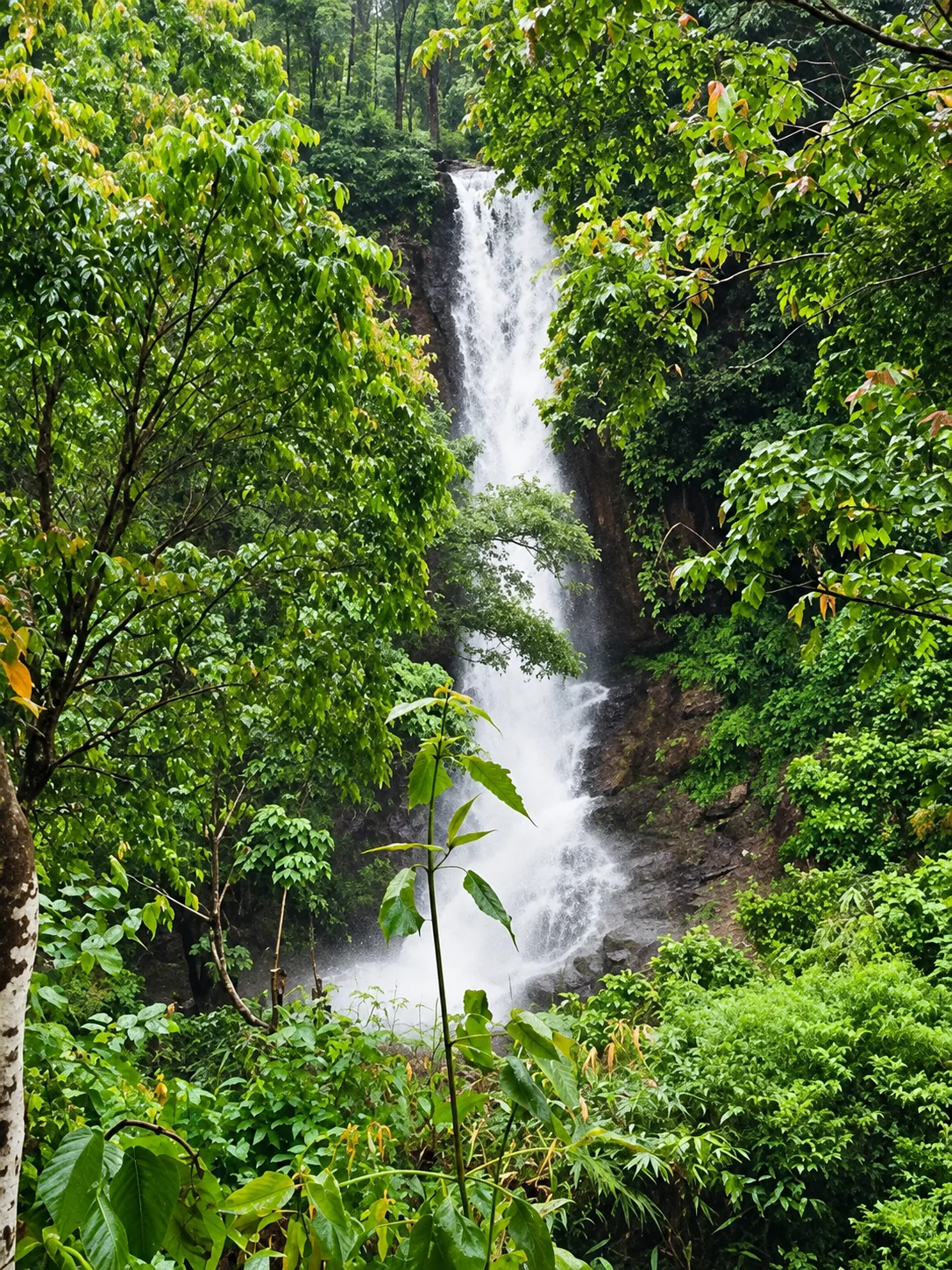 A tall waterfall descending through dense Kunjiyarpathy rainforest