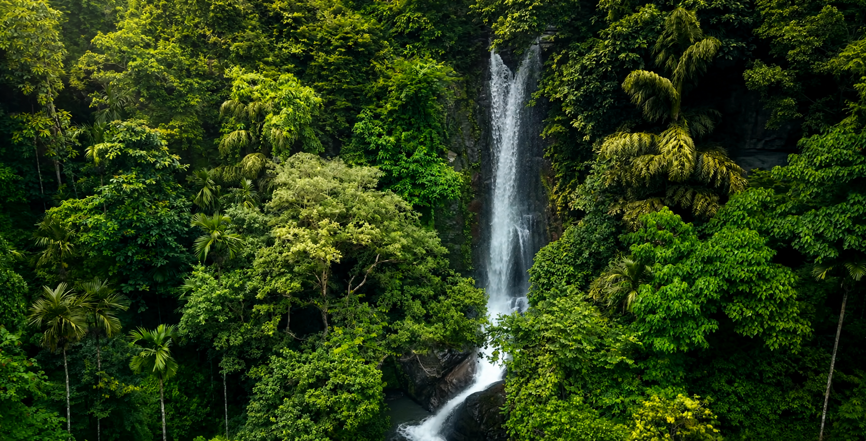 A tall waterfall descending through dense tropical forest