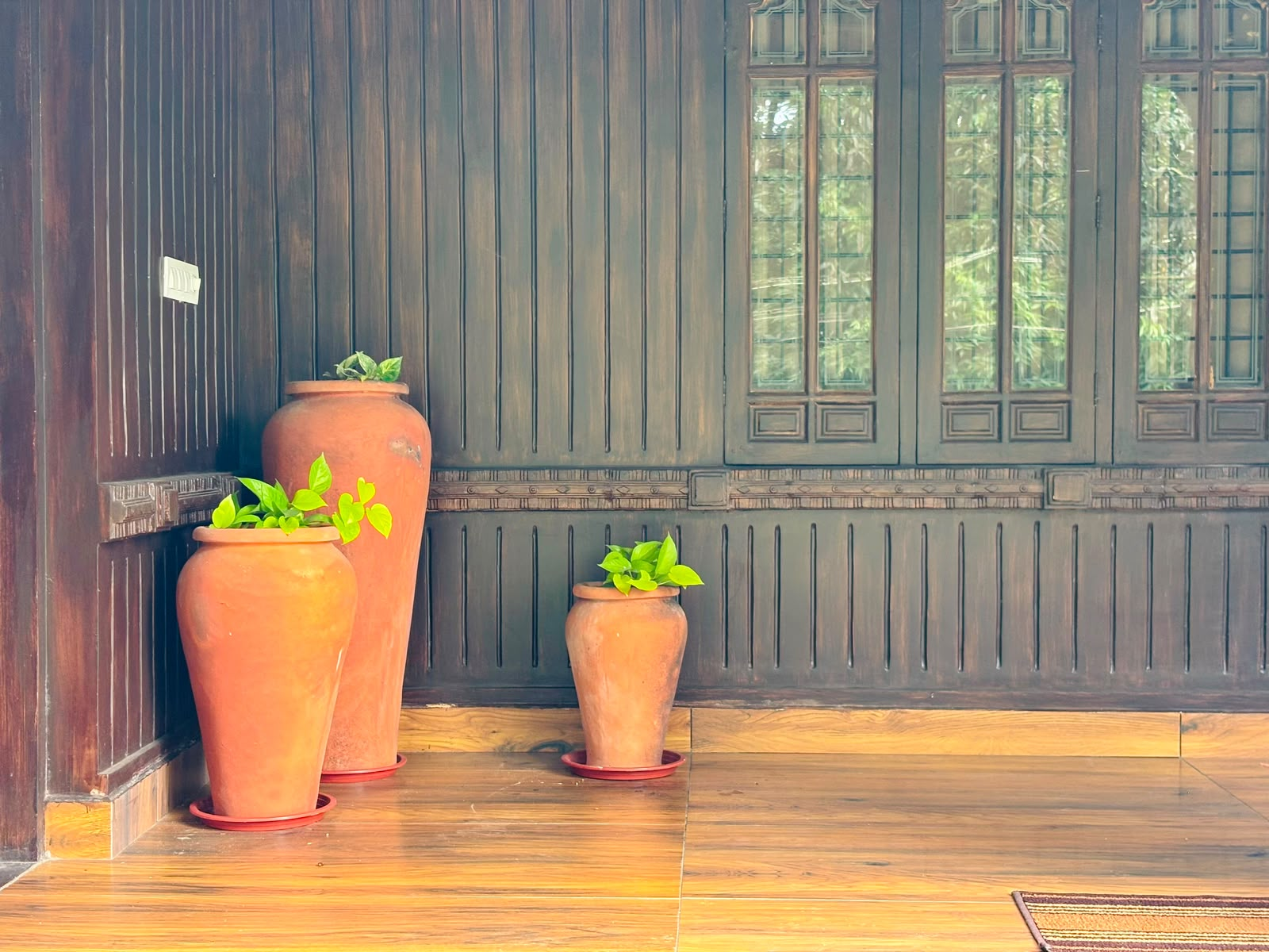 Terracotta pots with plants against carved teak panelling