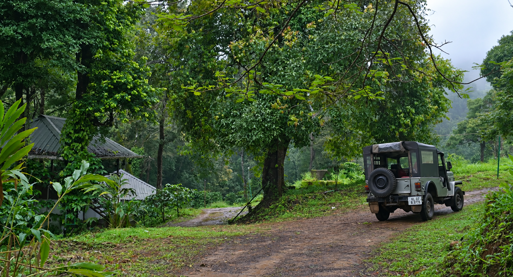 Jeep beside a simple forest base beneath trees at Kunjiyarpathy