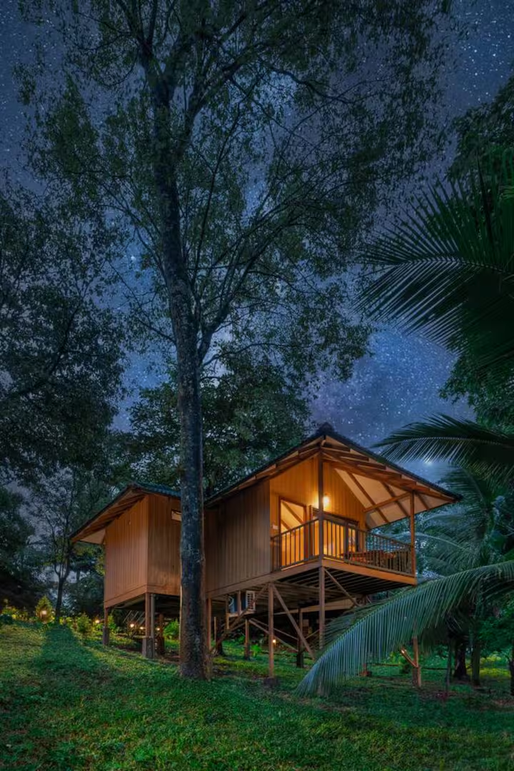 Illustrative property imagery: a raised timber forest cabin glowing warmly under a star-filled night sky