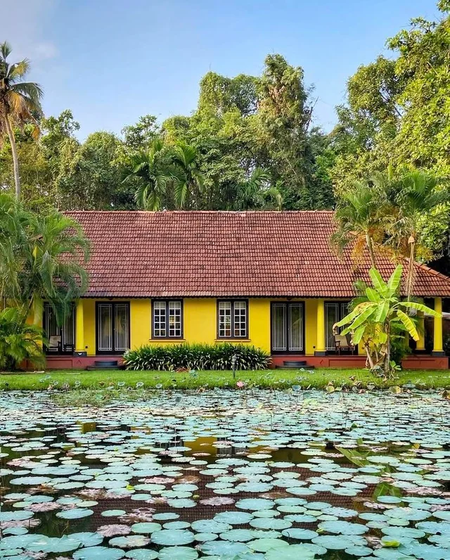 Illustrative property imagery: a yellow-walled heritage house with a tiled roof reflected across a lotus-covered pond