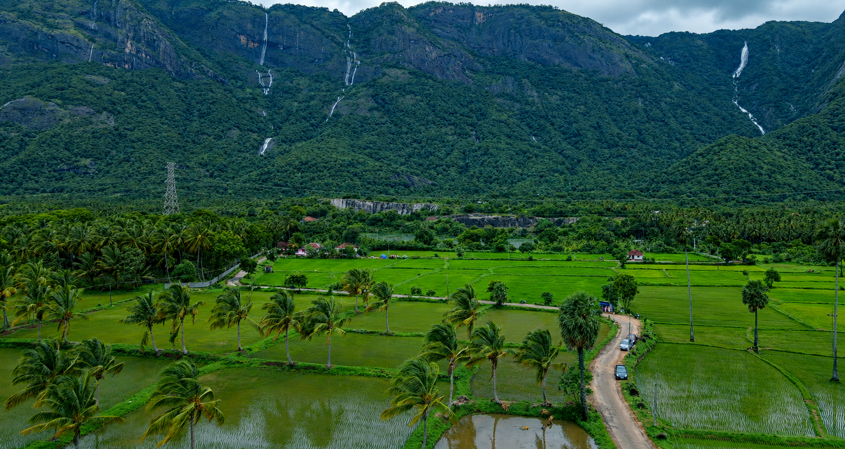 A distinctive Kerala landscape of paddy fields, palms and mountain waterfalls