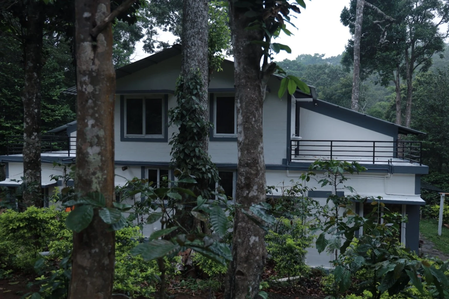 Cottage exterior partially framed by tree trunks and surrounding foliage