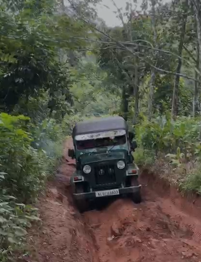 A jeep on a narrow red-earth track through dense forest near Pooyamkutty